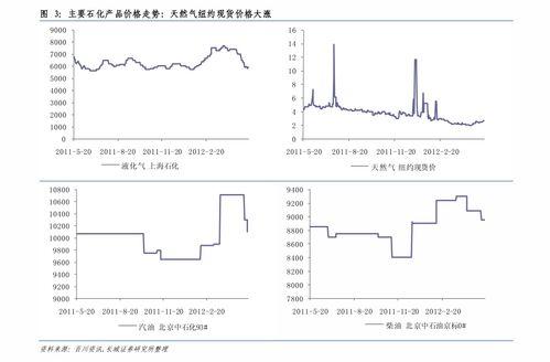 新疆今日籽瓜行情走势,涨跌互现，市场供需动态分析
