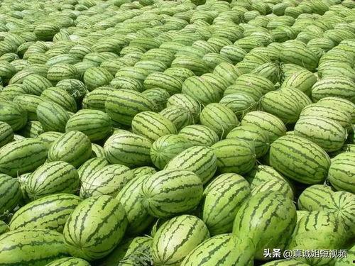 五一吃瓜今日大瓜热门大瓜,盘点今日热门大瓜