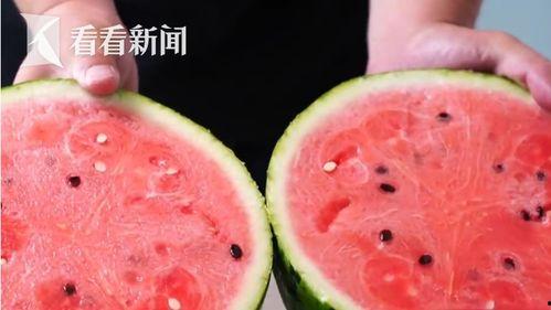 今日吊瓜多少钱一斤,每斤吊瓜多少钱？