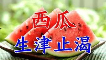 今日宜吃瓜小说4,揭秘小说4中的悬疑世界