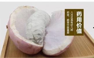 今日麻皮八月瓜价格,市场行情一览