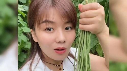 菏泽的明星网红有谁啊