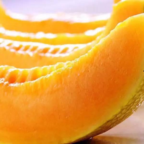 海南哈密瓜今日价格12月11号