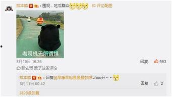 朋友圈今日吃瓜,瓜田李下，揭秘娱乐圈最新热点