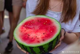 热门大瓜今日吃瓜校园,揭秘热门大瓜，一起吃瓜涨知识