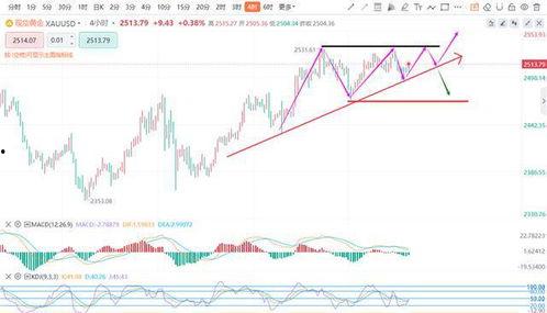 酥瓜今日价位走势分析图,今日走势深度剖析