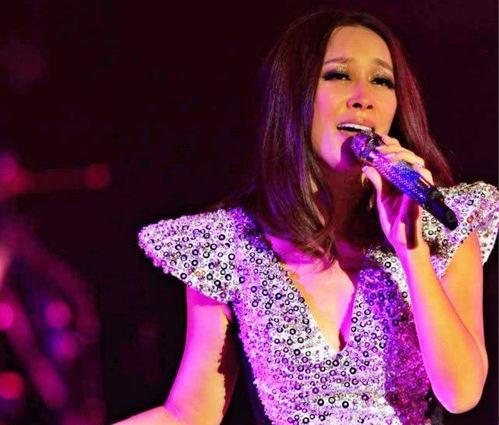 明星网红演唱会盘点,明星网红演唱会精彩盘点