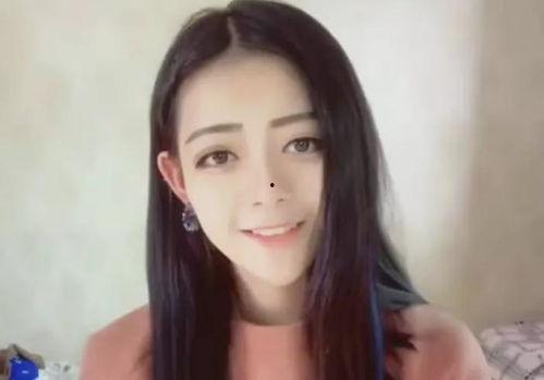 明星网红在线最近视频,明星网红最新视频集锦解析