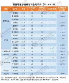 瓜州今日棉价查询,瓜州今日棉价实时概览