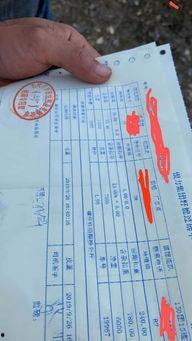 瓜州今日棉价查询,瓜州今日棉价实时概览