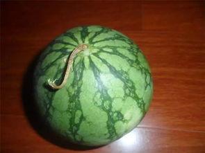 今日吃瓜必看,揭秘娱乐圈最新瓜料，吃瓜群众必看！