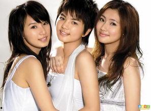 内娱明星网红同框图