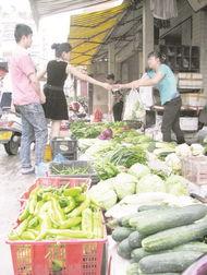 广东市场今日瓜价,瓜果飘香，价格波动一览
