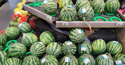 广东市场今日瓜价,瓜果飘香，价格波动一览