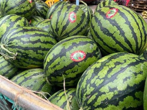 广东市场今日瓜价,瓜果飘香，价格波动一览