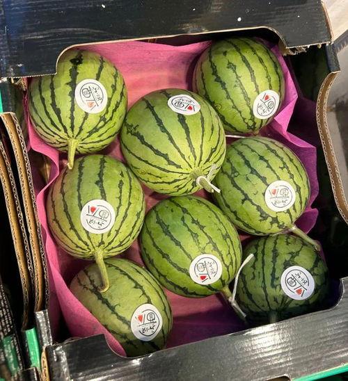 精品麒麟瓜今日价格,品质之选，价格透明