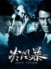 冷风暴电视剧,暗夜迷雾中的正义之战