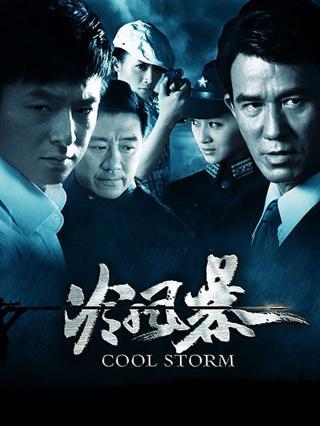 冷风暴电视剧,暗夜迷雾中的正义之战