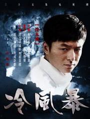 冷风暴电视剧,暗夜迷雾中的正义之战