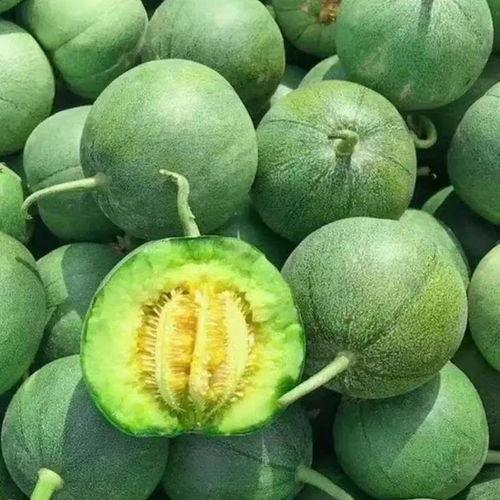 今日关山绿宝瓜价格,价格行情一览”