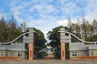 上海市第二中学张天真今日大瓜,上海市第二中学惊爆今日大瓜，揭秘背后真相