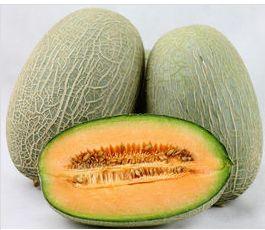 哈米瓜产地今日价,新鲜直供，价格行情一览”