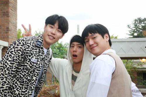 请回答1988电视剧,青春岁月里的温暖回忆