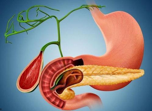 摘除胆囊的明星网红有谁,揭秘那些勇敢面对健康挑战的明星网红