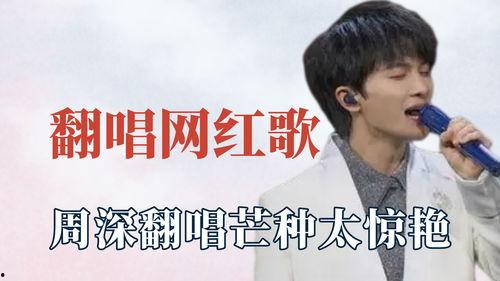 明星网红说唱视频在线观看,明星网红带你领略音乐魅力