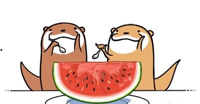 今日吃瓜必吃大瓜不打烊,大瓜不打烊，精彩不间断！