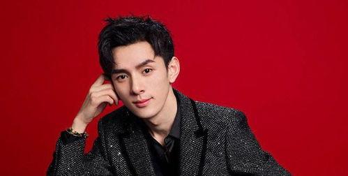 两字男明星网红出身,两字男星崛起之路