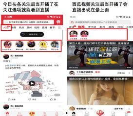 今日头条卖瓜直播在哪看,揭秘观看攻略，不容错过的精彩瞬间