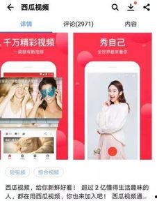 今日头条卖瓜直播在哪看,揭秘观看攻略，不容错过的精彩瞬间