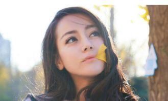 明星网红 事件是真的吗